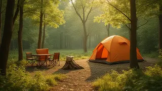 Komfort um jeden Preis: Die Kommerzialisierung der Natur in Mecklenburg-Vorpommern