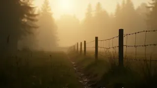 Neues Funke-Werk: Zwischen Naturmythos und kindlicher Empathie