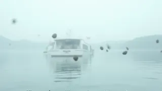 Steine fliegen auf Fahrgastschiff, bis zu 50 Menschen prügeln sich am Hennesee