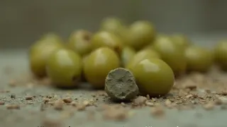 Vertreibungspolitik in der Westbank: Oliven und Granaten