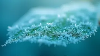 Wetterumschwung: Meteorologen warnen vor drastischem Temperaturabfall und Bodenfrost